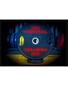 Диск 25 кг TWO HANDLES Yousteel