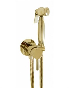 Гигиенический душ Futuro FSH25DOR со смесителем золото Giulini