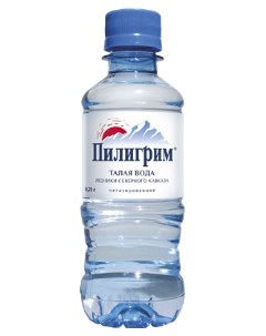 Вода питьевая негазированная 0 25 л Пилигрим