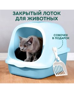 Туалет для кошек с совком и высоким бортом синий пластик 49х39х38 см Hans&helma