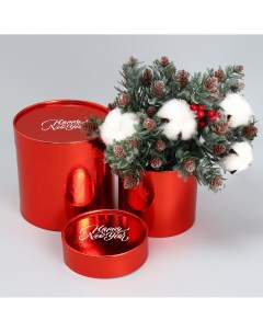 Набор коробок 2в1 круглые happy new year красный металлик 12 х 12 15 х 15 см Дарите счастье