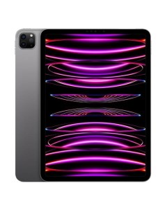 Планшет Apple iPad Pro 12 9 2022 256GB Wi Fi Space Gray iPad Pro 12 9 2022 256GB Wi Fi Space Gray