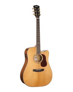 Gold DC6 WCASE NAT Gold Series Акустическая гитара цвет натуральный с чехлом Cort