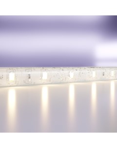 LED лента Светодиодная лента 24В Maytoni