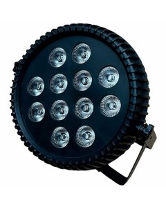 Прожектор PAR LED LED SPOT 12x10W Showlight