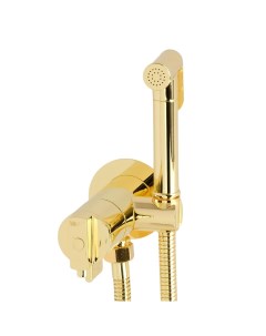 Гигиенический душ Fortis 31558 со смесителем с термостатом золото Migliore