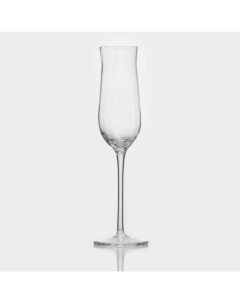 Бокал стеклянный для шампанского Тира 140 мл 22 6х4 3 см Magistro