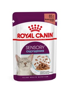 Влажный корм для кошек Sensory Ощущения соус 12шт по 85 г Royal canin