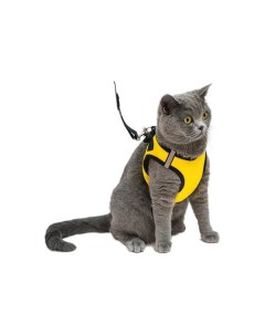 Комплект Шлейка Поводок Конфетти ТОП для кошек и собак обхват груди 37 43см Желтый Дарэлл