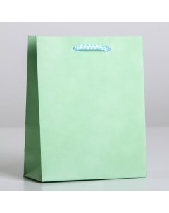 Пакет ламинированный Зелёный S 12 х 15 х 5 5 см Доступные радости