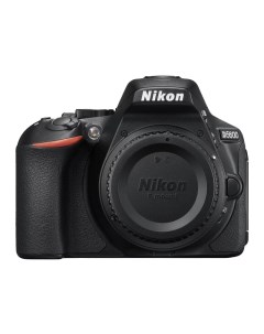 Зеркальный фотоаппарат D5600 Body Nikon