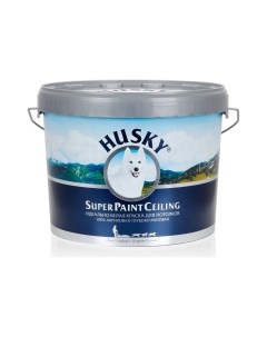 Краска Super Paint Ceiling потолочная 20С 10 л Husky