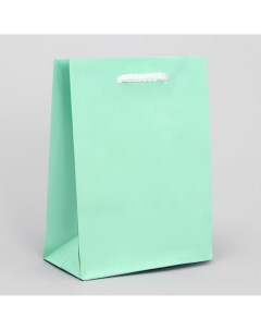 Пакет подарочный ламинированный упаковка Доступные радости