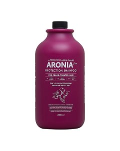 Pedison Шампунь для волос Арония Institute beaut Aronia Color Protection Shampoo 2000 Evas