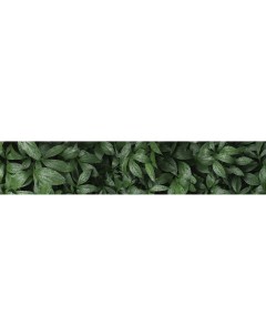 Декоративная кухонная панель Botanical Gar 300x60x0 4 см алюминий цвет зеленый Alumoart