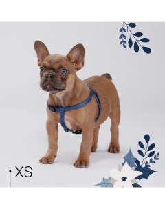 Шлейка нейлоновая для собак и кошек Синяя чешуя XS обхват груди 33 46 5 см Rurri