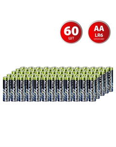 Батарейка Alkaline АА пальчиковая LR6 1,5 В (60 шт.) (LR6 SR4) Ergolux