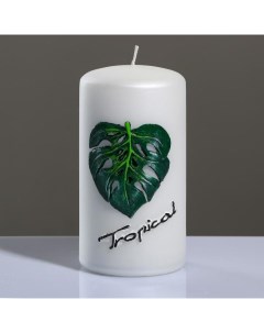 Свеча цилиндр Tropical 7x13 см жемчужный белый Trend decor candle