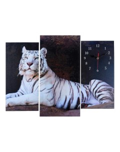 Часы настенные модульные Белый тигр 60 x 80 см Сюжет
