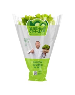 Салат листовой в горшочке 110 г Зеленый стандарт