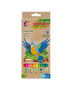 Карандаши цветные Zoo шестигранные 12 цветов пластиковые Луч