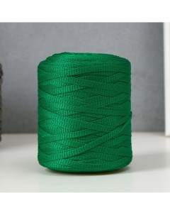 Шнур для вязания 100 полиэфир 5 мм цилиндр 180 г 140 м 25 зеленый Softino