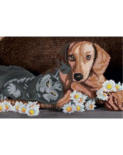 Кристальная мозаика Собака и кот 20x30 см Freya