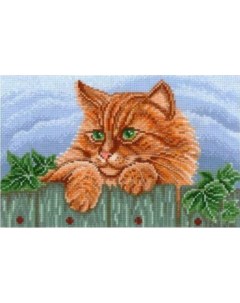 Набор для вышивания Рыжий кот Сделай своими руками