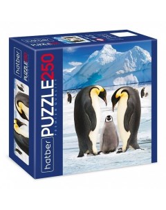 Пазл Premium Императорские пингвины 250 элементов формат А3 280х400мм Hatber