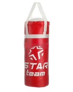 Боксерская груша в сетке 40см IT107822 Star team