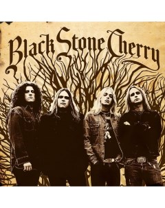 Рок Black Stone Cherry Black Stone Cherry Black Vinyl LP Music on vinyl