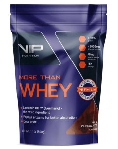 Сывороточный протеин More Than Whey 500 гр вкус Шоколад Vip nutrition