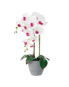 Цветок искусственный в горшке light орхидея бело розовая 62 см Fuzhou