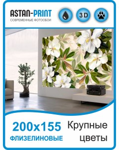 Фотообои флизелиновые Крупные цветы 200х155 Astan