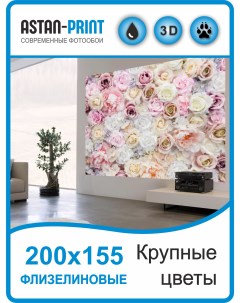Фотообои флизелиновые Крупные цветы 200х155 Astan