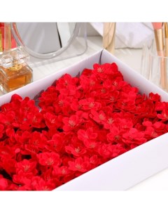 Цветы сакуры мыльные красные набор 50 шт Secret beauty