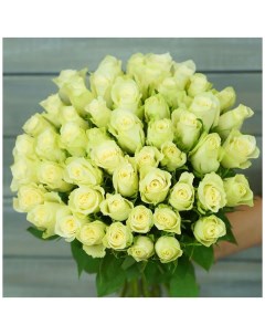Букет живых цветов из 51 белая роза 40см 51 роза 40 см B1674 Букет маркет