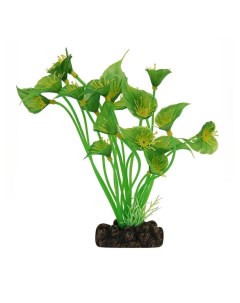 Растение для аквариума Спатифиллум зеленый 20 см Laguna