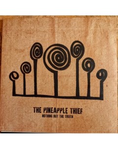 THE PINEAPPLE THIEF Nothing But The Truth Медиа