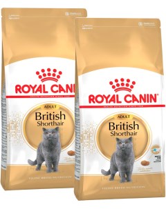 Сухой корм для кошек Adult British Shorthair 2x10 кг Royal canin