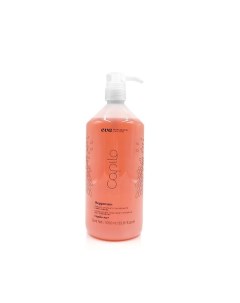 Шампунь для жирной кожи головы против перхоти Capilo Oxygenum Shampoo N 07 Eva professional hair care