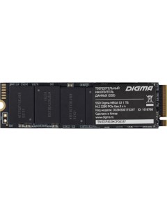SSD накопитель Digma DGSM3001TS33T DGSM3001TS33T
