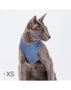 Шлейка для собак и кошек Синяя чешуя XS обхват груди 28 41 см Rurri