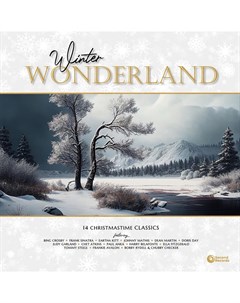 Various Winter Wonderland 14 Christmastime Classics Second records