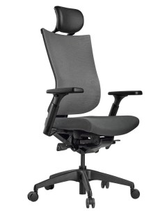Кресло компьютерное эргономичное Tone M01B серый Schairs