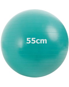 Мяч гимнастический Anti Burstl d55 см GMA 55 C зеленый Sportex