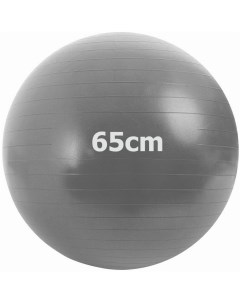 Мяч гимнастический Anti Burstl d65 см GMA 65 A серый Sportex