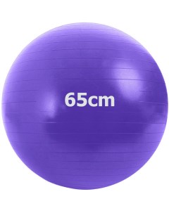 Мяч гимнастический Anti Burstl d65 см GMA 65 D фиолетовый Sportex