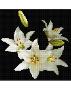 Алмазная мозаика Белые Лилии 30 х 30 см 23 цвета Molly