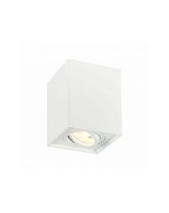 Светильник потолочный Белый 10 St-luce